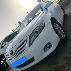 Toyota Camry 2010