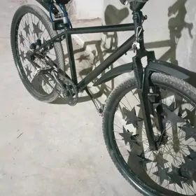 sportiwni welik
