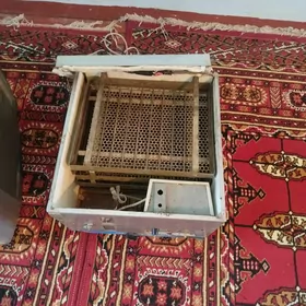 inkowator juyje çykaryen