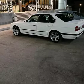 BMW diska 17 lik şnaýzer diska