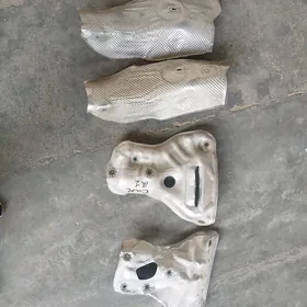 kollektor gulşitel zaşita