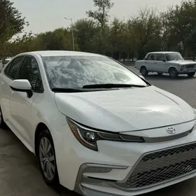 Toyota Corolla 2023