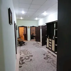 satlyk elitka 4 komnat