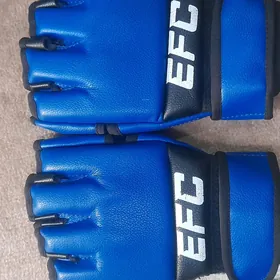 efc percatka