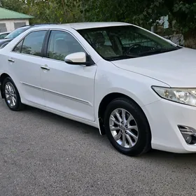 Toyota Camry 2013