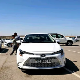 Toyota Corolla 2022