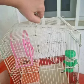 Клетка для хомяка