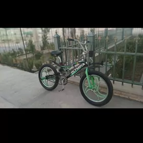 Olympia welik BMX 300lik