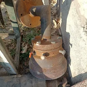 galyp