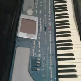 korg pa 800