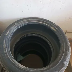 Pakrişka HILO