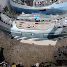 Babycga kelte mordasy