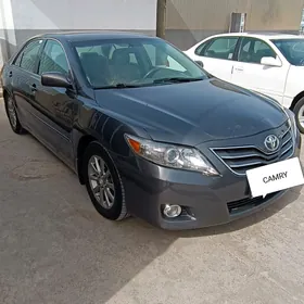 Toyota Camry 2010