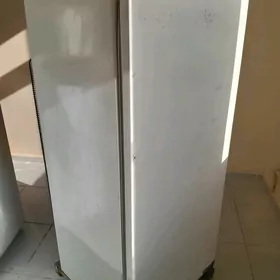 holadinik