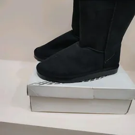 сапоги женские
