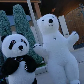 panda ayyjyklar show