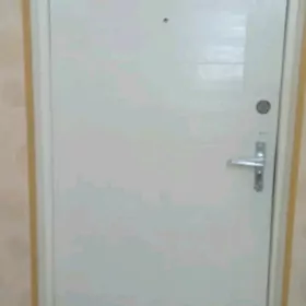 дверь железная