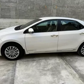 Toyota Corolla 2019