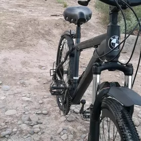 BMW tigir
