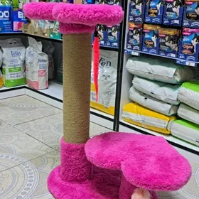 когтеточки