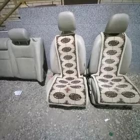 Sidenya  rol apşiwka