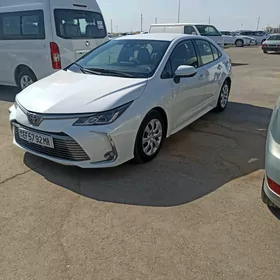 Toyota Corolla 2022