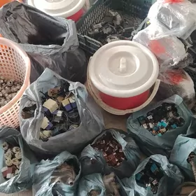 Elektirik haritlar tayota
