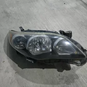 Carolla fara