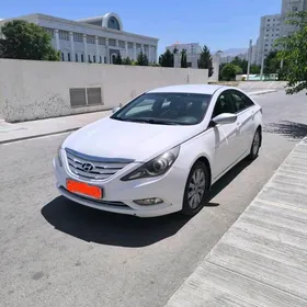 Hyundai Sonata 2010