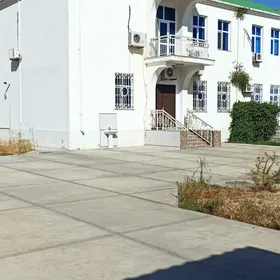 Taze zaman