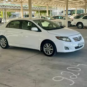 Toyota Corolla 2010