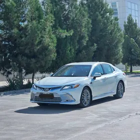Toyota Camry 2019