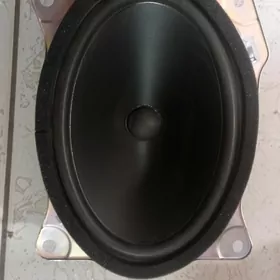 Морда калонка