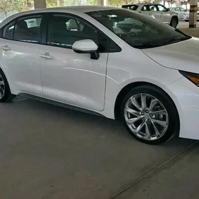 Toyota Corolla 2021