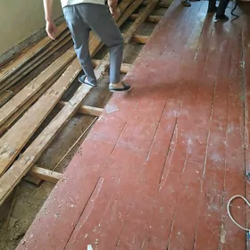 Polluk agac laminat alyan