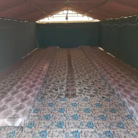 palatga 5×10