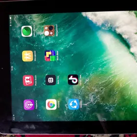 iPad