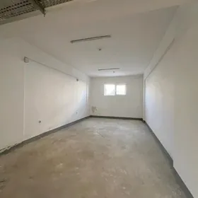 ARENDA GURTLY  PODWAL GOS REMO