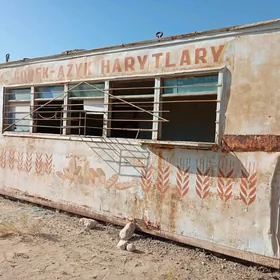 Garaž wagon satlyk
