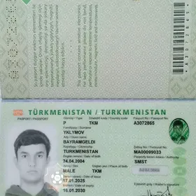 Pasport zagran pasport yitdi