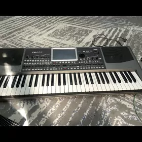 Korg Pa-900