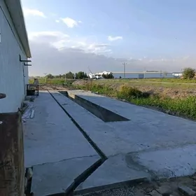 Ёл Дуралгасы