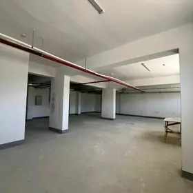 ARENDA GURTLY PODWAL.