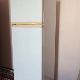 HALODILNIK 3aý Garaşaryna