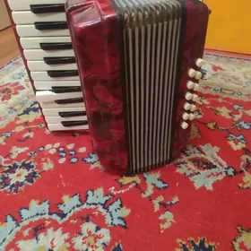 аккордеон 30×40 см