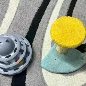 коктиточка