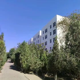 nygmat bazar