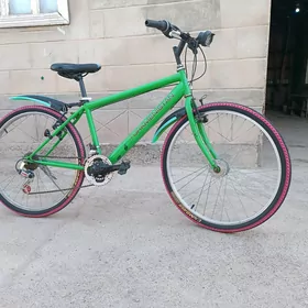 tigir  26