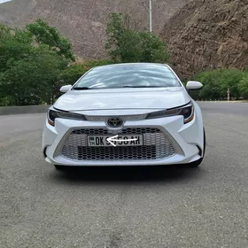 Toyota Corolla 2021
