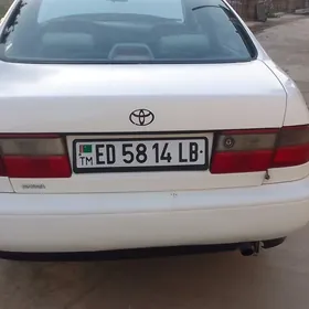 Toyota Corona 1993